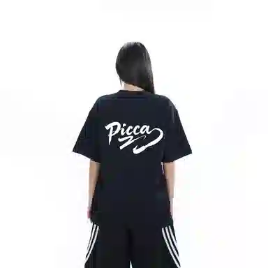 Picca logoT