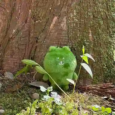 玄唐 绿油油抹茶绿青苔绿可爱毛绒小熊书包背包 聚酯纤维 挂件 男女同款情侣款