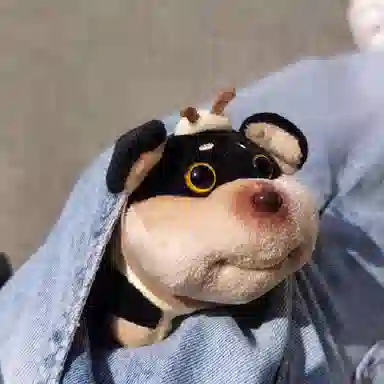 玄唐 可爱蜜蜂小狗旺蜂包包公仔玩偶小众高级感书包挂饰 涤纶 挂件 男款