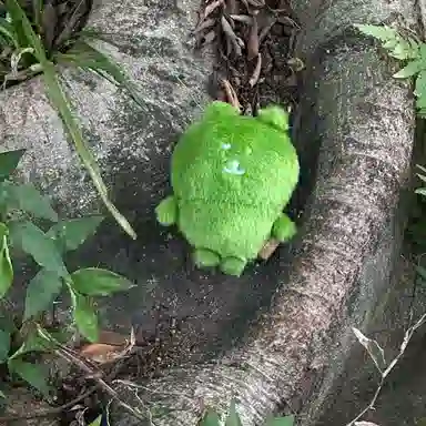 玄唐 绿油油抹茶绿青苔绿可爱毛绒小熊书包背包 聚酯纤维 挂件 男女同款情侣款