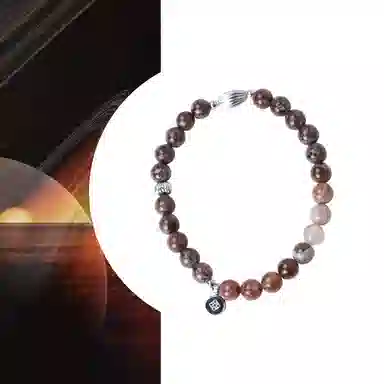 FOUNDIN Vtg Silicified Wood