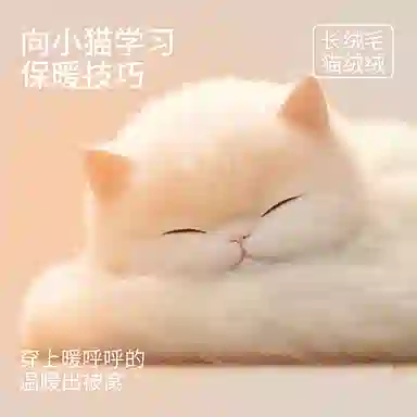 JINGYUN