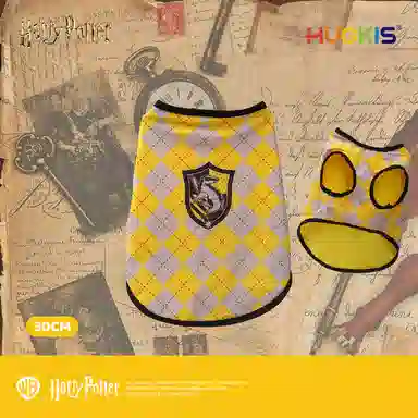 HUGKIS IP