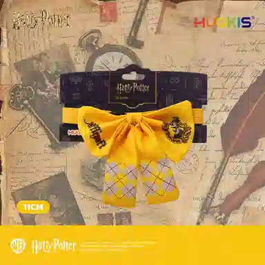 HUGKIS IP