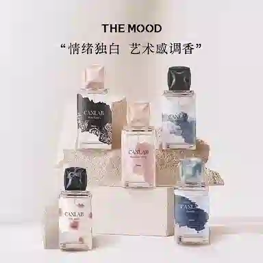THE MOOD EDT 38ml