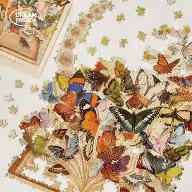 DREAM FRIENDS 1000pcs