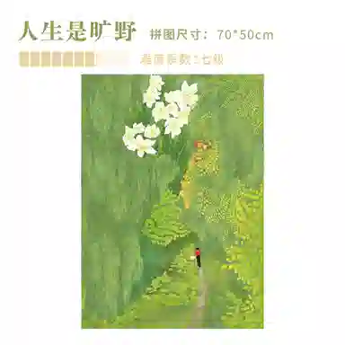 DREAM FRIENDS 1000pcs