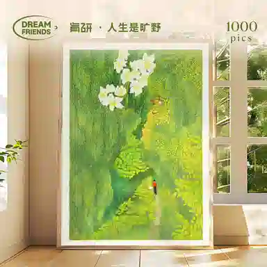 DREAM FRIENDS 1000pcs