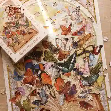 DREAM FRIENDS 1000pcs