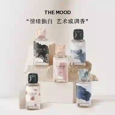 THE MOOD EDT 38ml