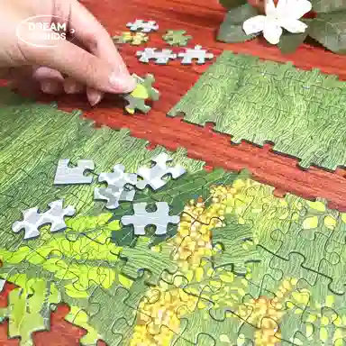 DREAM FRIENDS 1000pcs