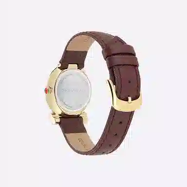 Ferragamo Watch