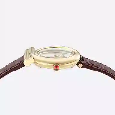 Ferragamo Watch