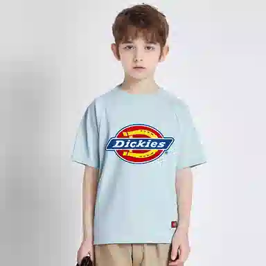 DickiesT