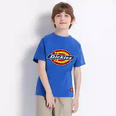DickiesT
