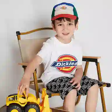 Dickies T