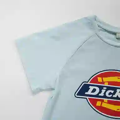 DickiesT