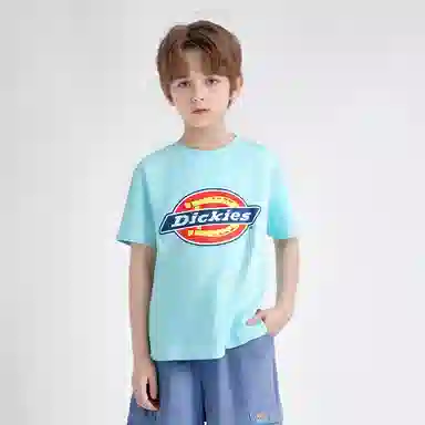 DickiesT