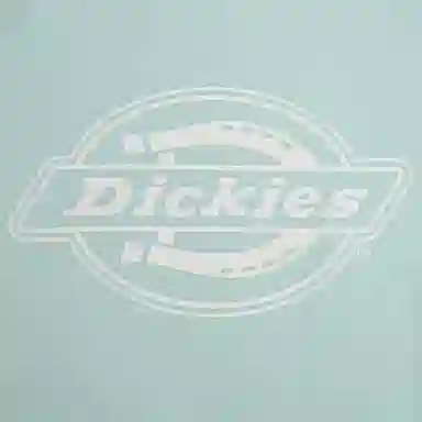 DickiesT