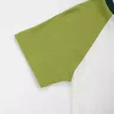 DickiesT