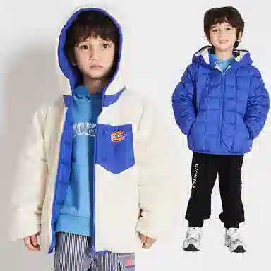 Dickies 90