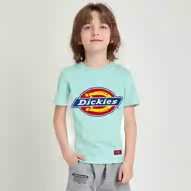 DickiesT