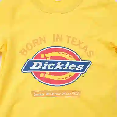 DickiesT
