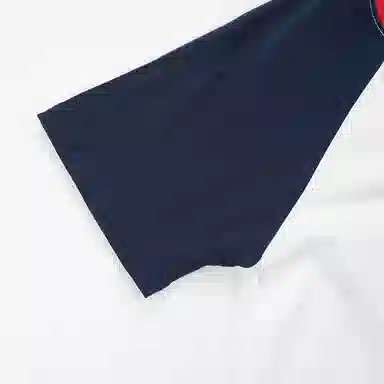 DickiesT