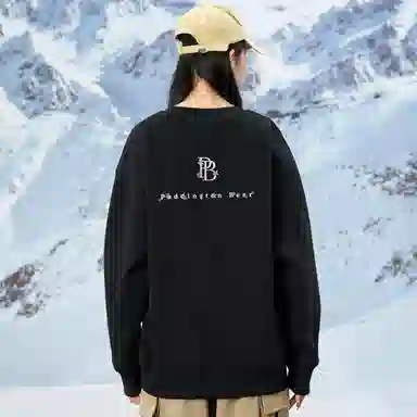 Paddington Bear PB Series