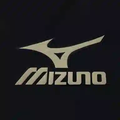 Mizuno Logo Hoodie