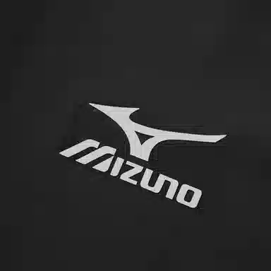 Mizuno T