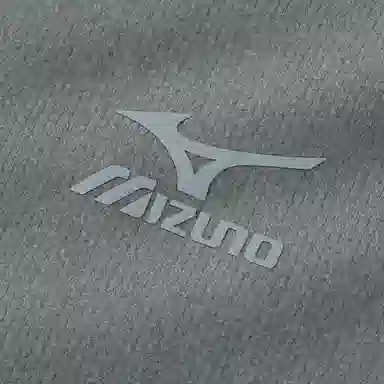 Mizuno T
