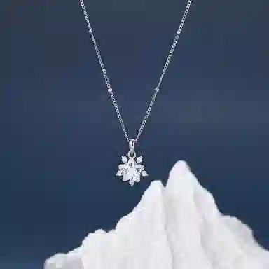 JOLLY SEASONS ins S925