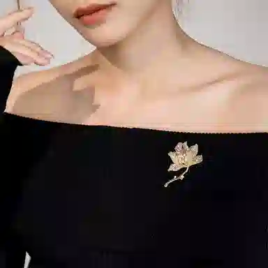 QLADY
