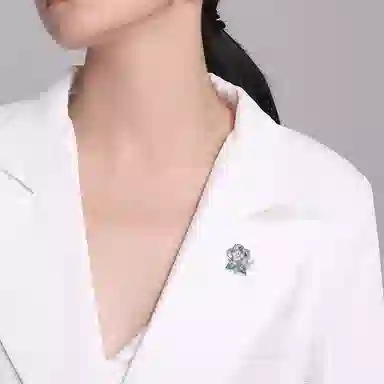 QLADY