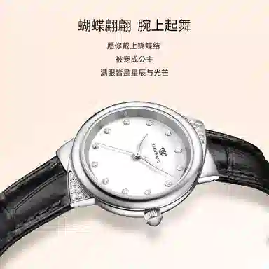 TIANWANG 3951
