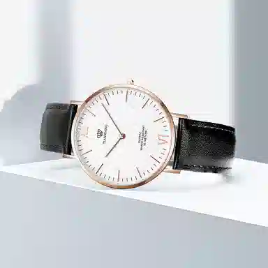 TIANWANGTWINKLE GS3851