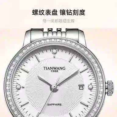TIANWANG 31161