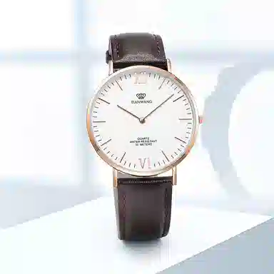 TIANWANGTWINKLE GS3851