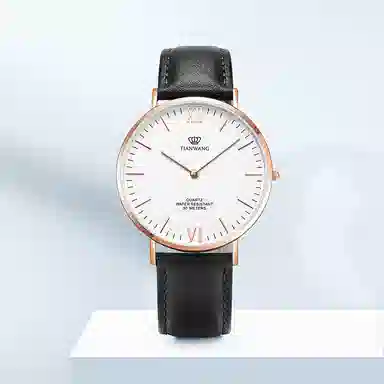 TIANWANGTWINKLE GS3851