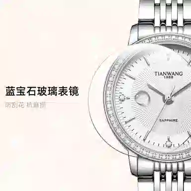 TIANWANG 31161