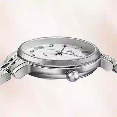 TIANWANGTWINKLE 31374