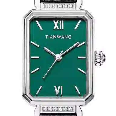 TIANWANG LS31283