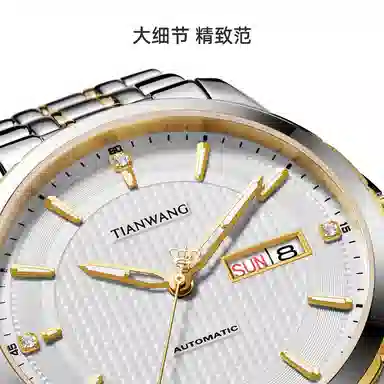 TIANWANG 51396