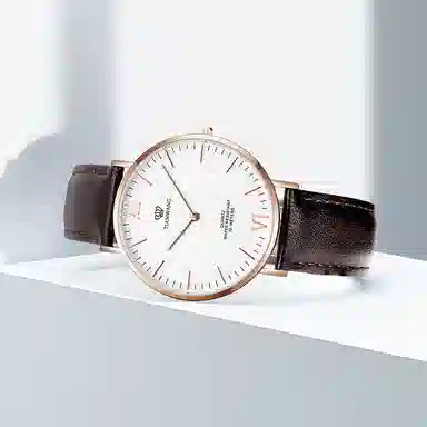 TIANWANGTWINKLE GS3851