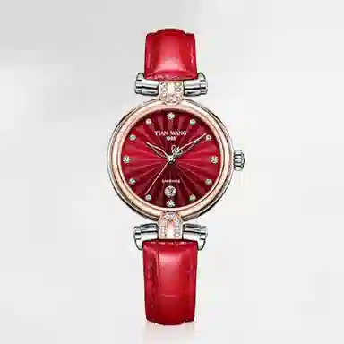 TIANWANG SHINE LS3982