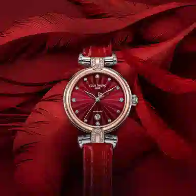 TIANWANG SHINE LS3982