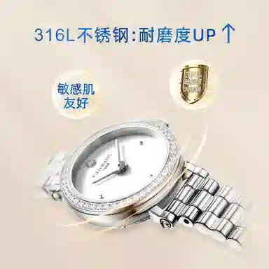 TIANWANG 31561