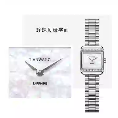 TIANWANG LS31581