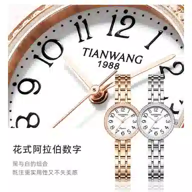 TIANWANG 30